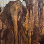 Between Root and Memory - Father Elephant