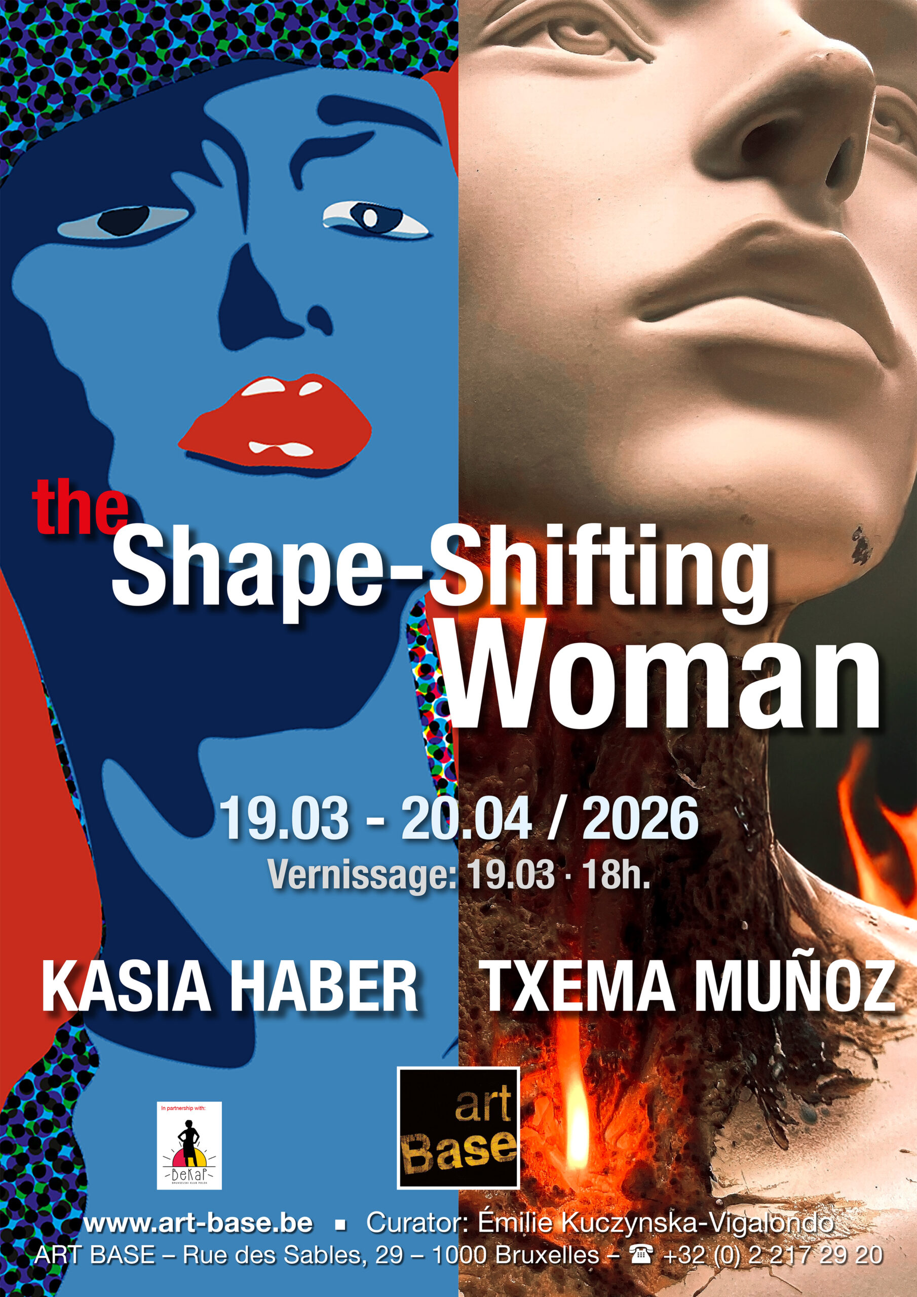 Poster - The Shape Shifting Woman