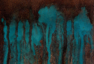 Cianografía Nocturna (detalle)