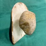 Floating Stone Woman