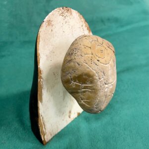 Floating Stone Woman