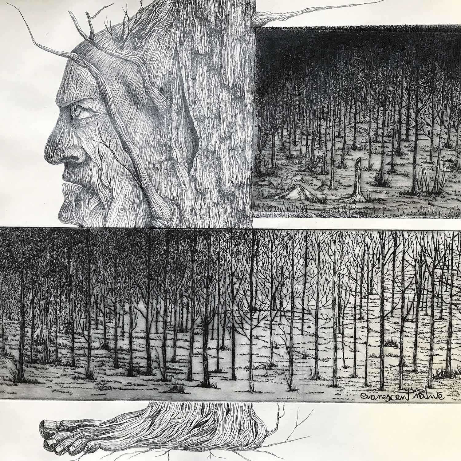 Tree-Forest-Guard-Detail-1