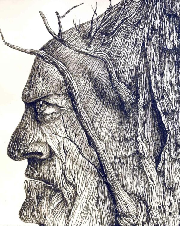 Tree-Forest-Guard-Detail-2